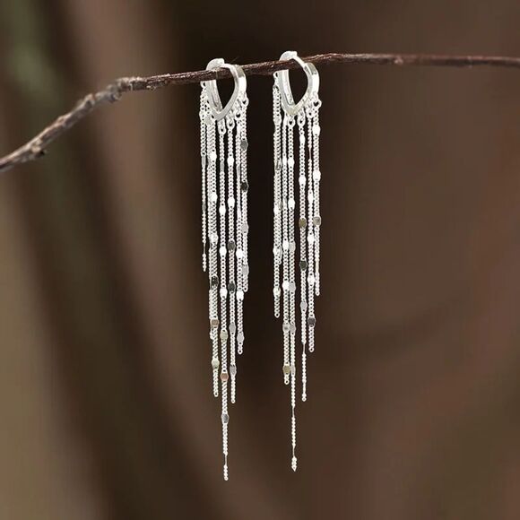 Anthropologie Jewelry - Dangle Sterling Silver Stamped S925 Earrings